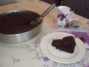 montanha russa, penne e torta negrita 012