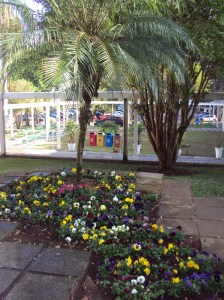 primavera- 11-09-13 007