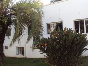 primavera- 11-09-13 013