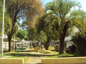 primavera- 11-09-13 017