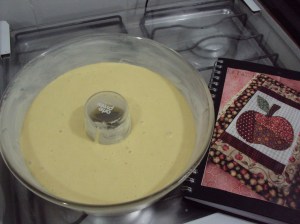 blusinhas e bolo de laranja 006