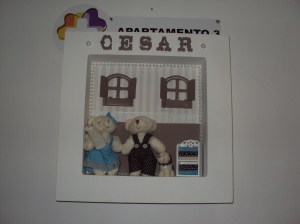 Campo Mourão Cesinha 008