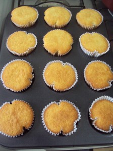 conchiglione e cupcake 010