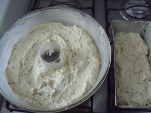 Formigueiro 002