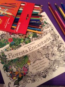 livro de colorir 001