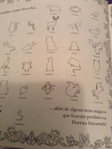 livro de colorir 005