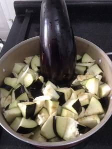 brinjela1
