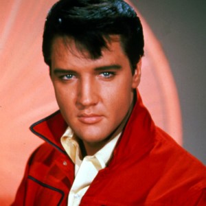 14-elvis-w529-h529